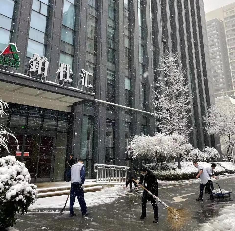 盛鸿国际(中国区) - 官方网站